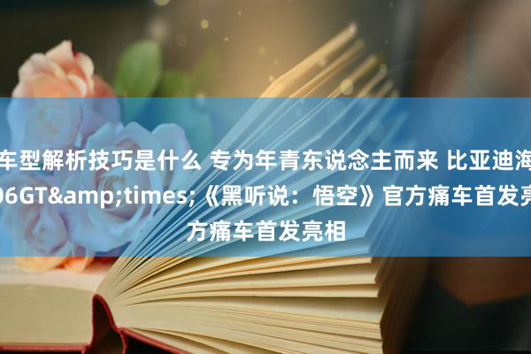 车型解析技巧是什么 专为年青东说念主而来 比亚迪海豹06GT&times;《黑听说：悟空》官方痛车首发亮相