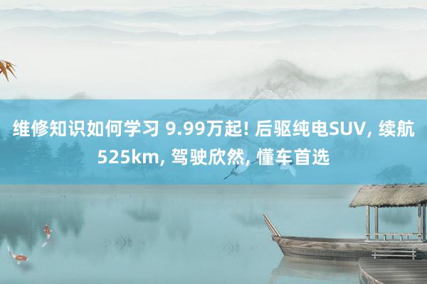 维修知识如何学习 9.99万起! 后驱纯电SUV, 续航525km, 驾驶欣然, 懂车首选