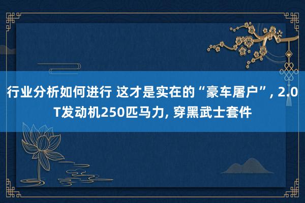 行业分析如何进行 这才是实在的“豪车屠户”, 2.0T发动机250匹马力, 穿黑武士套件