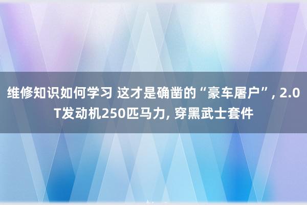 维修知识如何学习 这才是确凿的“豪车屠户”, 2.0T发动机250匹马力, 穿黑武士套件