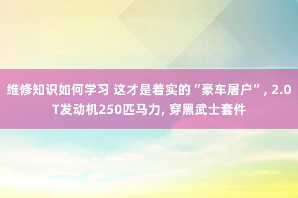 维修知识如何学习 这才是着实的“豪车屠户”, 2.0T发动机250匹马力, 穿黑武士套件