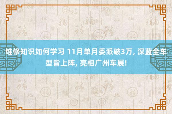 维修知识如何学习 11月单月委派破3万, 深蓝全车型皆上阵, 亮相广州车展!