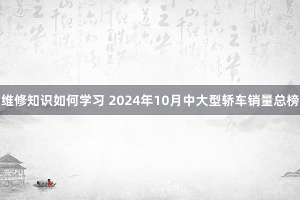 维修知识如何学习 2024年10月中大型轿车销量总榜