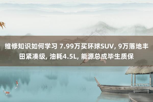 维修知识如何学习 7.99万买环球SUV, 9万落地丰田紧凑级, 油耗4.5L, 能源总成毕生质保