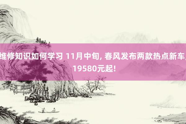 维修知识如何学习 11月中旬, 春风发布两款热点新车, 19580元起!