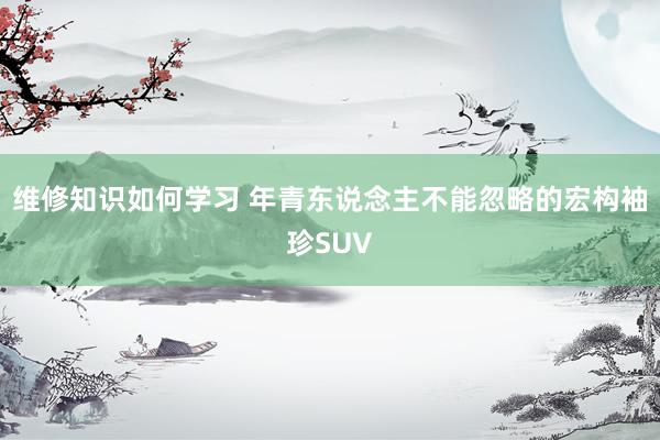 维修知识如何学习 年青东说念主不能忽略的宏构袖珍SUV