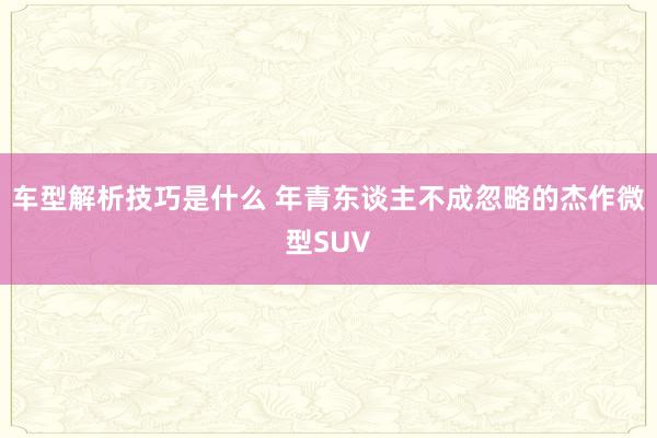 车型解析技巧是什么 年青东谈主不成忽略的杰作微型SUV