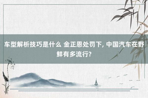 车型解析技巧是什么 金正恩处罚下, 中国汽车在野鲜有多流行?