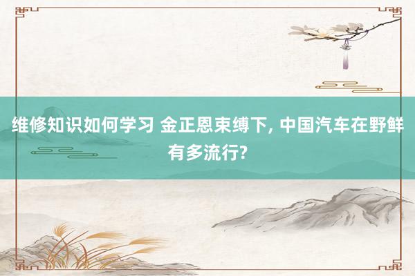 维修知识如何学习 金正恩束缚下, 中国汽车在野鲜有多流行?