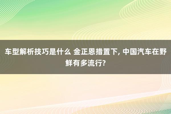 车型解析技巧是什么 金正恩措置下, 中国汽车在野鲜有多流行?