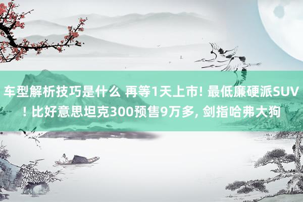 车型解析技巧是什么 再等1天上市! 最低廉硬派SUV! 比好意思坦克300预售9万多, 剑指哈弗大狗