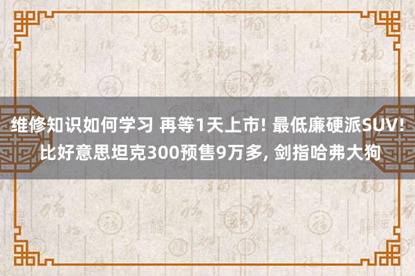 维修知识如何学习 再等1天上市! 最低廉硬派SUV! 比好意思坦克300预售9万多, 剑指哈弗大狗