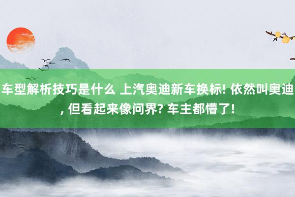 车型解析技巧是什么 上汽奥迪新车换标! 依然叫奥迪, 但看起来像问界? 车主都懵了!