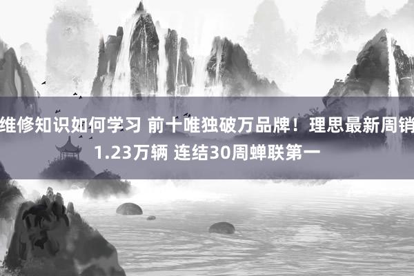 维修知识如何学习 前十唯独破万品牌！理思最新周销1.23万辆 连结30周蝉联第一