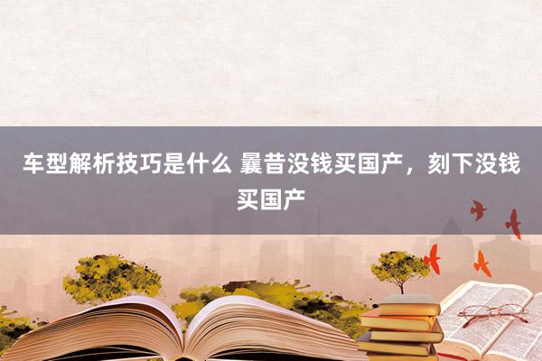 车型解析技巧是什么 曩昔没钱买国产，刻下没钱买国产