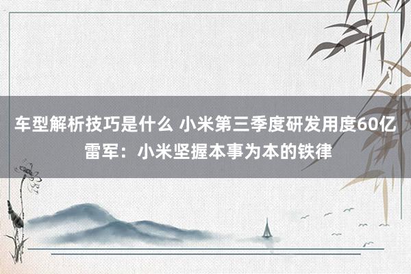 车型解析技巧是什么 小米第三季度研发用度60亿 雷军：小米坚握本事为本的铁律