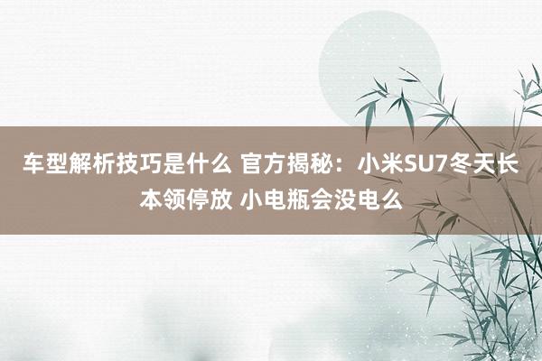 车型解析技巧是什么 官方揭秘：小米SU7冬天长本领停放 小电瓶会没电么