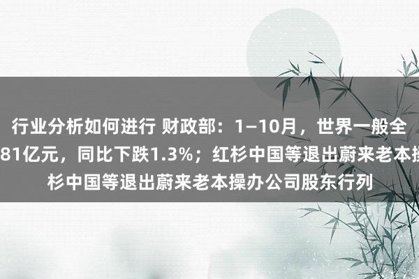 行业分析如何进行 财政部：1—10月，世界一般全球预算收入184981亿元，同比下跌1.3%；红杉中国等退出蔚来老本操办公司股东行列