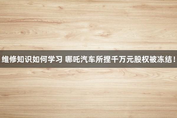 维修知识如何学习 哪吒汽车所捏千万元股权被冻结！