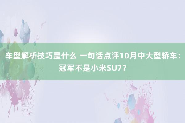 车型解析技巧是什么 一句话点评10月中大型轿车：冠军不是小米SU7？