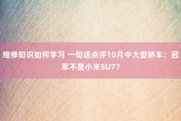 维修知识如何学习 一句话点评10月中大型轿车：冠军不是小米SU7？