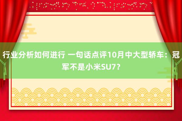 行业分析如何进行 一句话点评10月中大型轿车：冠军不是小米SU7？