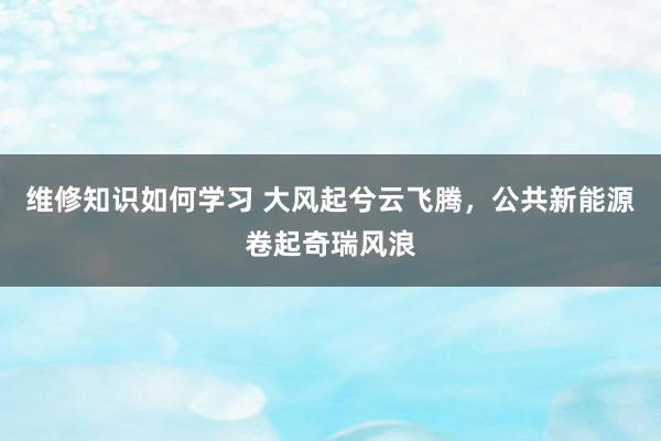 维修知识如何学习 大风起兮云飞腾，公共新能源卷起奇瑞风浪