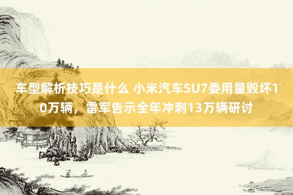 车型解析技巧是什么 小米汽车SU7委用量毁坏10万辆，雷军告示全年冲刺13万辆研讨