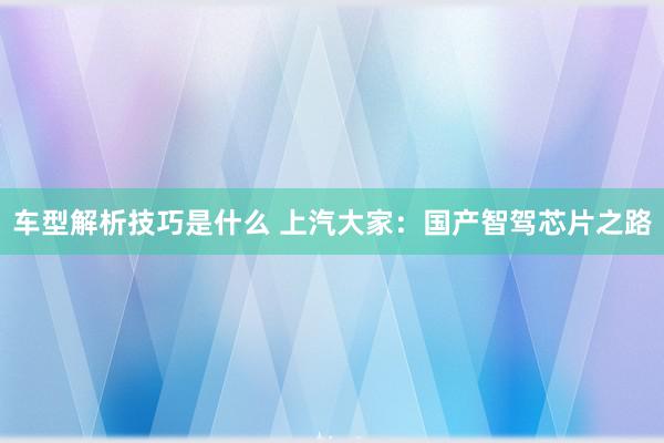 车型解析技巧是什么 上汽大家：国产智驾芯片之路