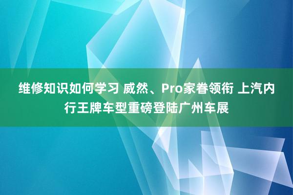 维修知识如何学习 威然、Pro家眷领衔 上汽内行王牌车型重磅登陆广州车展