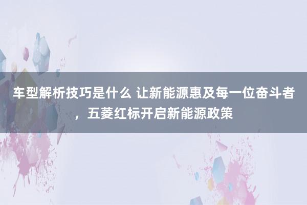 车型解析技巧是什么 让新能源惠及每一位奋斗者，五菱红标开启新能源政策