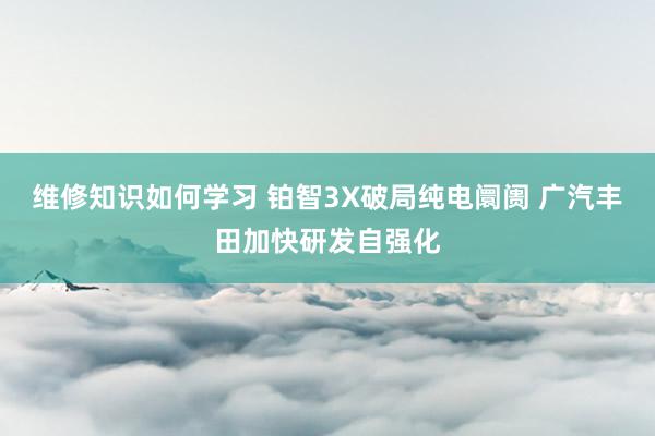 维修知识如何学习 铂智3X破局纯电阛阓 广汽丰田加快研发自强化