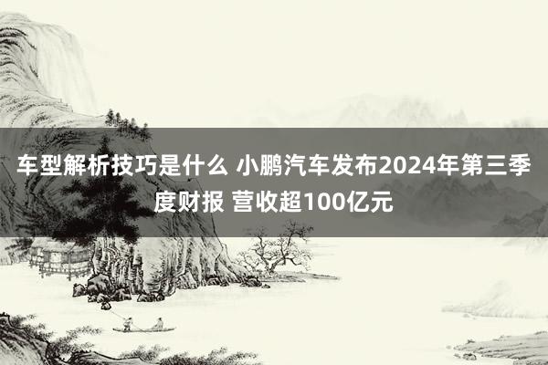 车型解析技巧是什么 小鹏汽车发布2024年第三季度财报 营收超100亿元