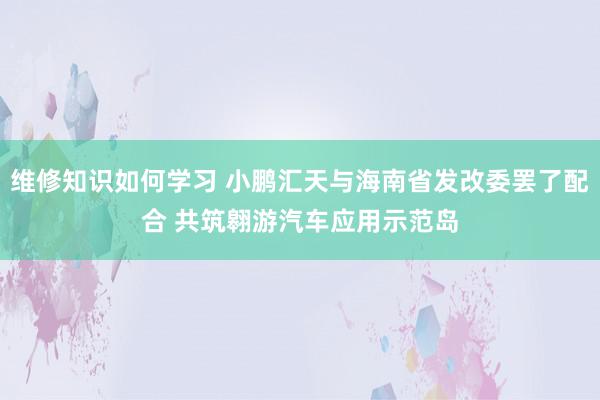 维修知识如何学习 小鹏汇天与海南省发改委罢了配合 共筑翱游汽车应用示范岛