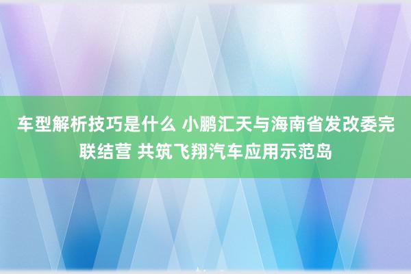 车型解析技巧是什么 小鹏汇天与海南省发改委完联结营 共筑飞翔汽车应用示范岛