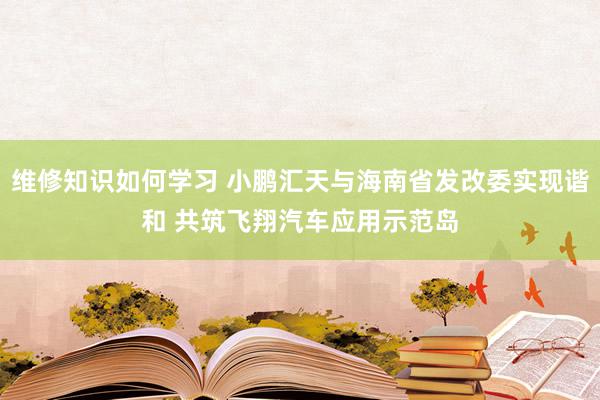 维修知识如何学习 小鹏汇天与海南省发改委实现谐和 共筑飞翔汽车应用示范岛