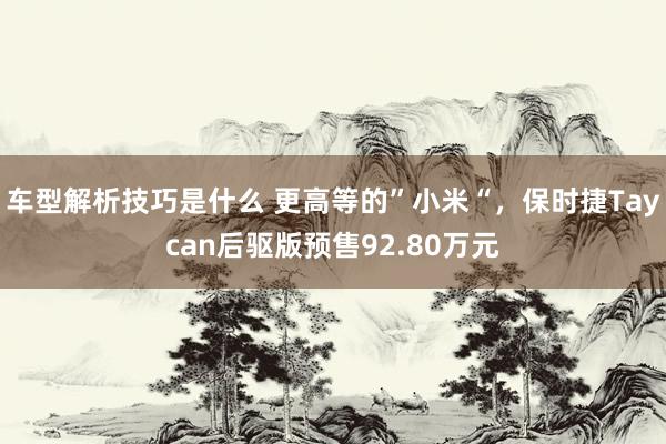 车型解析技巧是什么 更高等的”小米“，保时捷Taycan后驱版预售92.80万元