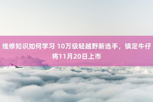 维修知识如何学习 10万级轻越野新选手，镇定牛仔将11月20日上市