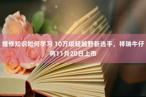 维修知识如何学习 10万级轻越野新选手，祥瑞牛仔将11月20日上市