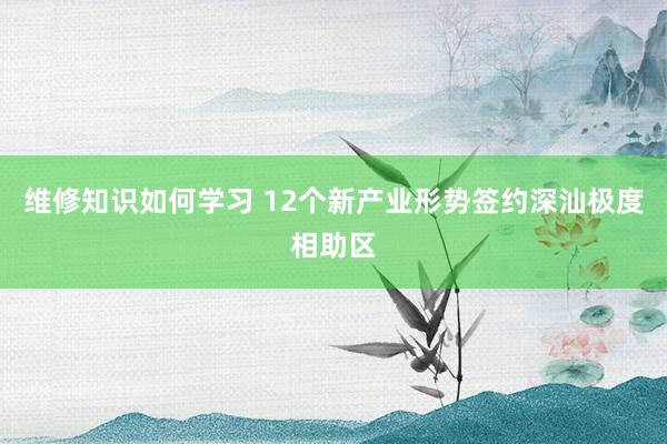 维修知识如何学习 12个新产业形势签约深汕极度相助区