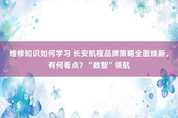 维修知识如何学习 长安凯程品牌策略全面焕新，有何看点？“数智”领航