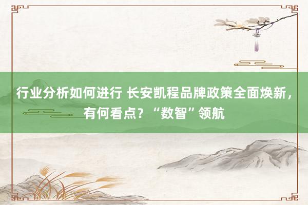 行业分析如何进行 长安凯程品牌政策全面焕新，有何看点？“数智”领航