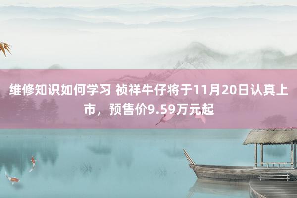 维修知识如何学习 祯祥牛仔将于11月20日认真上市，预售价9.59万元起