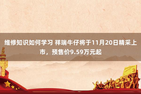 维修知识如何学习 祥瑞牛仔将于11月20日精采上市，预售价9.59万元起